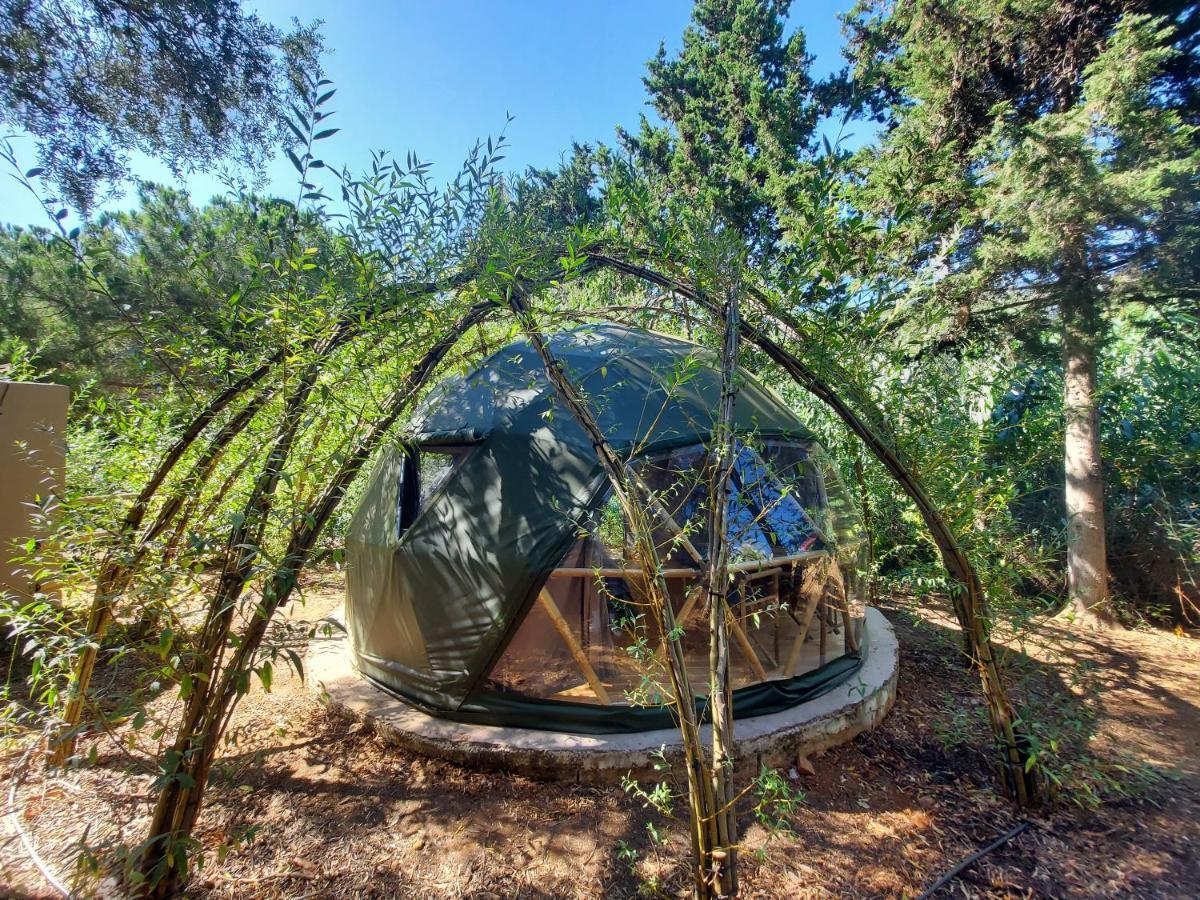 Salema Eco Camp - Sustainable Camping & Glamping Екстериор снимка